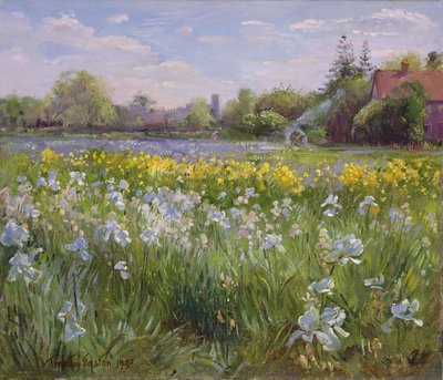 Bonfire and Iris Field by Timothy Easton